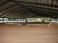 horse_park_ocala